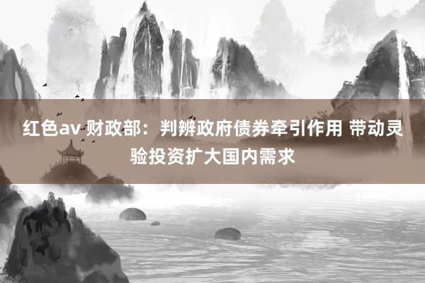 红色av 财政部：判辨政府债券牵引作用 带动灵验投资扩大国内需求