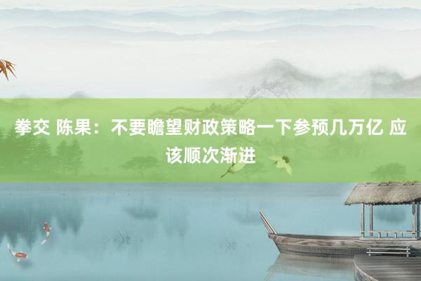 拳交 陈果：不要瞻望财政策略一下参预几万亿 应该顺次渐进