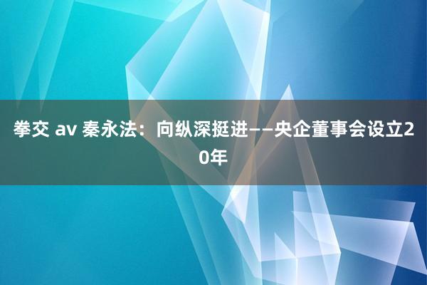 拳交 av 秦永法：向纵深挺进——央企董事会设立20年