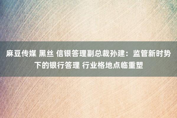 麻豆传媒 黑丝 信银答理副总裁孙建：监管新时势下的银行答理 行业格地点临重塑