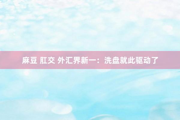 麻豆 肛交 外汇界新一：洗盘就此驱动了