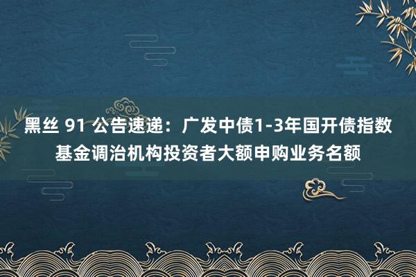 黑丝 91 公告速递：广发中债1-3年国开债指数基金调治机构投资者大额申购业务名额