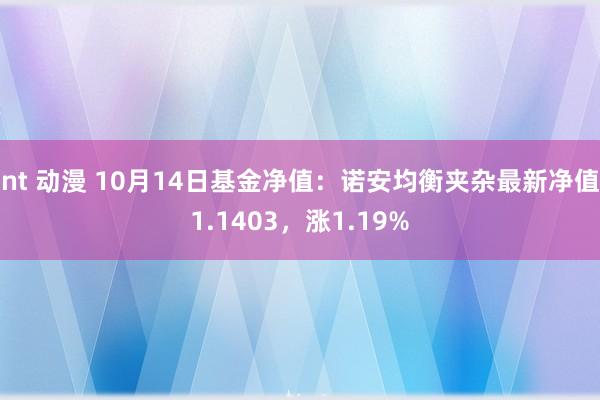 nt 动漫 10月14日基金净值：诺安均衡夹杂最新净值1.1403，涨1.19%