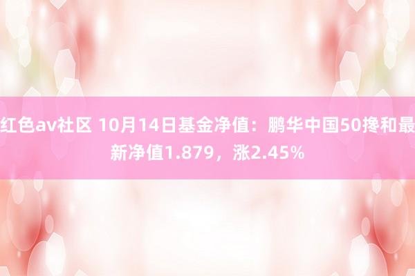 红色av社区 10月14日基金净值：鹏华中国50搀和最新净值1.879，涨2.45%