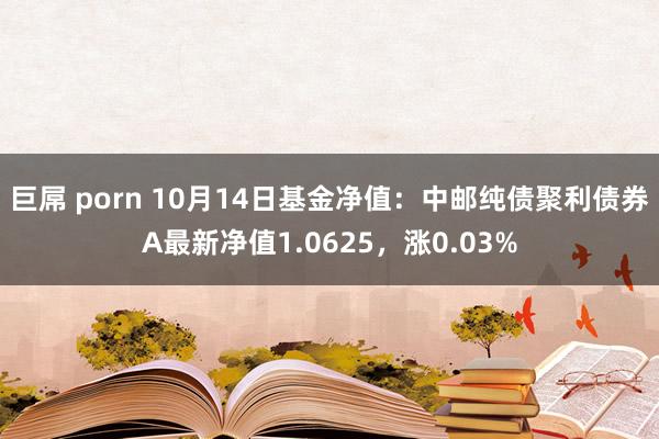 巨屌 porn 10月14日基金净值：中邮纯债聚利债券A最新净值1.0625，涨0.03%