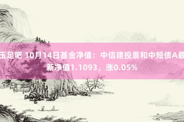 玉足吧 10月14日基金净值：中信建投景和中短债A最新净值1.1093，涨0.05%
