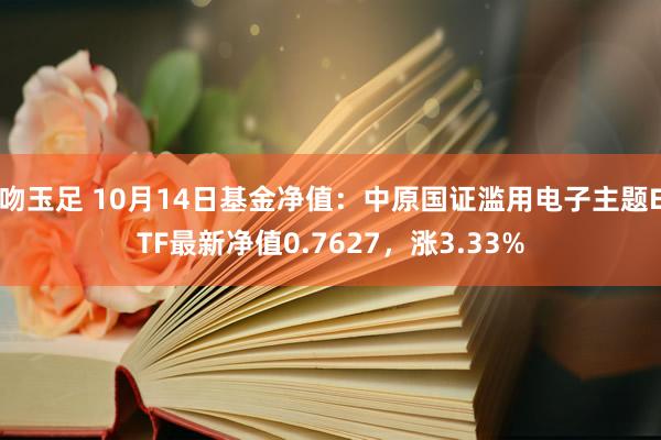 吻玉足 10月14日基金净值：中原国证滥用电子主题ETF最新净值0.7627，涨3.33%