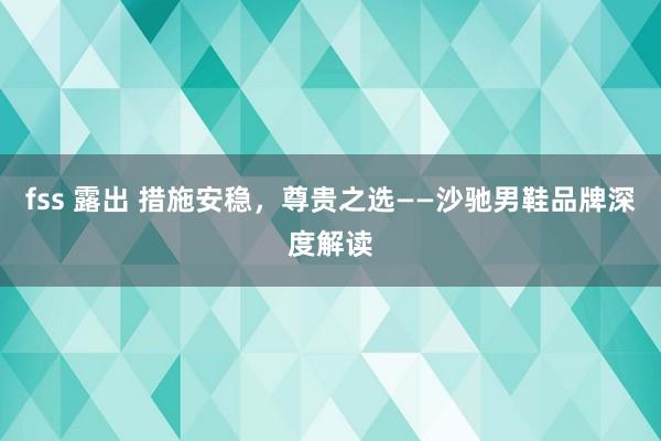fss 露出 措施安稳，尊贵之选——沙驰男鞋品牌深度解读