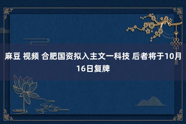 麻豆 视频 合肥国资拟入主文一科技 后者将于10月16日复牌