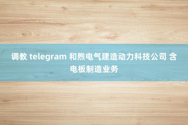 调教 telegram 和煦电气建造动力科技公司 含电板制造业务