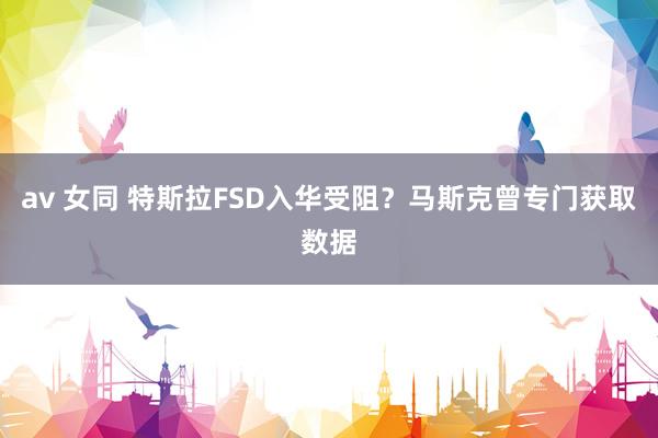 av 女同 特斯拉FSD入华受阻？马斯克曾专门获取数据