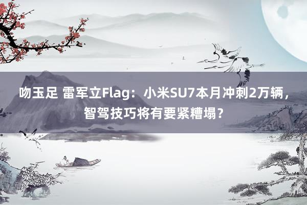 吻玉足 雷军立Flag：小米SU7本月冲刺2万辆，智驾技巧将有要紧糟塌？