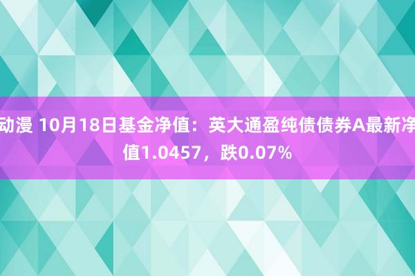 动漫 10月18日基金净值：英大通盈纯债债券A最新净值1.0457，跌0.07%