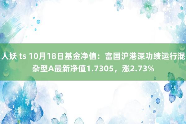 人妖 ts 10月18日基金净值：富国沪港深功绩运行混杂型A最新净值1.7305，涨2.73%