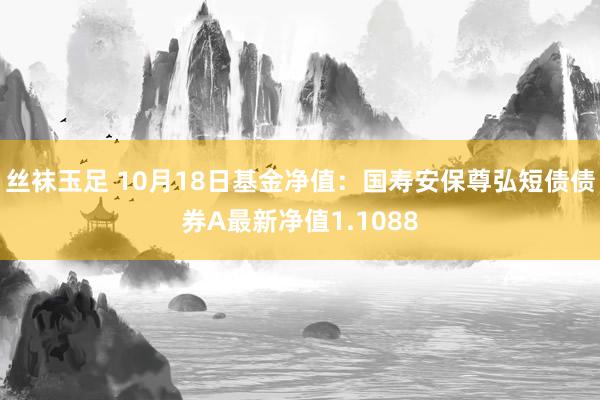 丝袜玉足 10月18日基金净值：国寿安保尊弘短债债券A最新净值1.1088