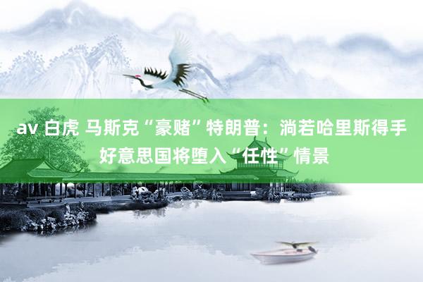 av 白虎 马斯克“豪赌”特朗普：淌若哈里斯得手 好意思国将堕入“任性”情景