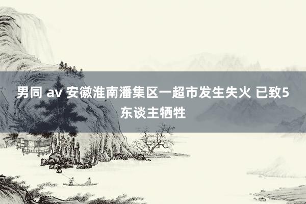 男同 av 安徽淮南潘集区一超市发生失火 已致5东谈主牺牲