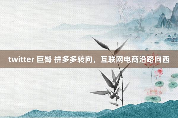 twitter 巨臀 拼多多转向，互联网电商沿路向西