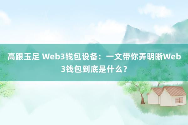 高跟玉足 Web3钱包设备：一文带你弄明晰Web3钱包到底是什么？