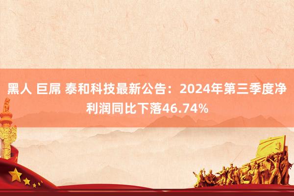 黑人 巨屌 泰和科技最新公告：2024年第三季度净利润同比下落46.74%