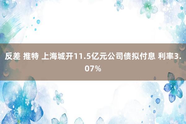 反差 推特 上海城开11.5亿元公司债拟付息 利率3.07%