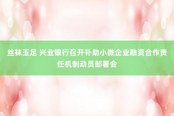 丝袜玉足 兴业银行召开补助小微企业融资合作责任机制动员部署会