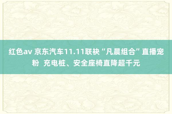红色av 京东汽车11.11联袂“凡晨组合”直播宠粉  充电桩、安全座椅直降超千元