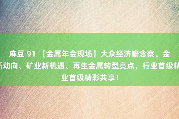 麻豆 91 【金属年会现场】大众经济瞻念察、金属市集新动向、矿业新机遇、再生金属转型亮点，行业首级精彩共享！