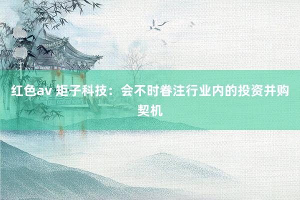 红色av 矩子科技：会不时眷注行业内的投资并购契机