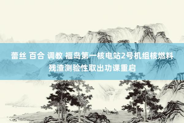 蕾丝 百合 调教 福岛第一核电站2号机组核燃料残渣测验性取出功课重启