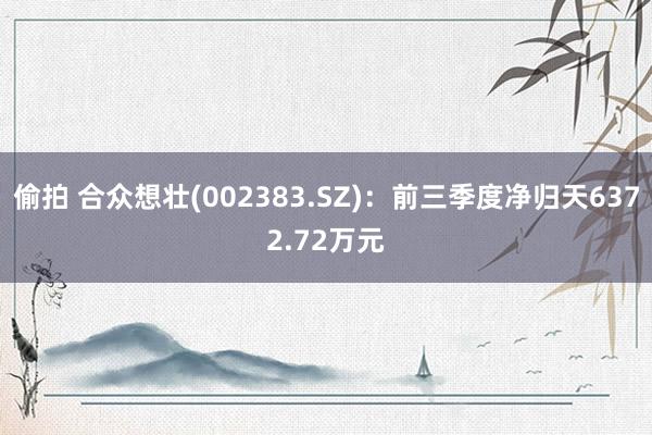 偷拍 合众想壮(002383.SZ):前三季度净归天6372.72万元