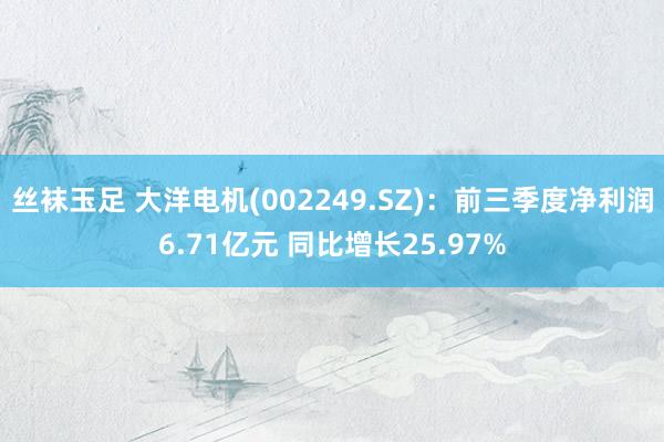 丝袜玉足 大洋电机(002249.SZ)：前三季度净利润6.71亿元 同比增长25.97%