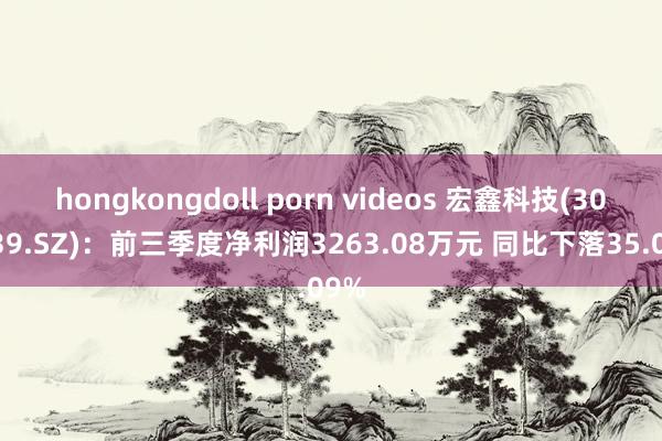 hongkongdoll porn videos 宏鑫科技(301539.SZ)：前三季度净利润3263.08万元 同比下落35.09%