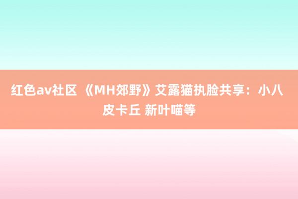 红色av社区 《MH郊野》艾露猫执脸共享：小八 皮卡丘 新叶喵等