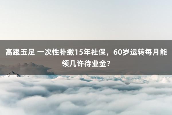 高跟玉足 一次性补缴15年社保，60岁运转每月能领几许待业金？