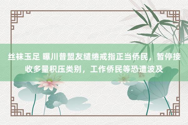 丝袜玉足 曝川普盟友缱绻戒指正当侨民，暂停接收多量积压类别，工作侨民等恐遭波及