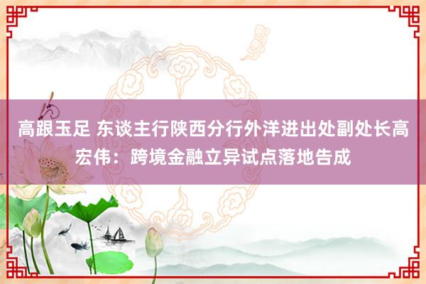 高跟玉足 东谈主行陕西分行外洋进出处副处长高宏伟：跨境金融立异试点落地告成