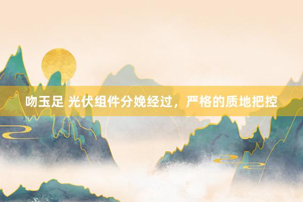 吻玉足 光伏组件分娩经过，严格的质地把控