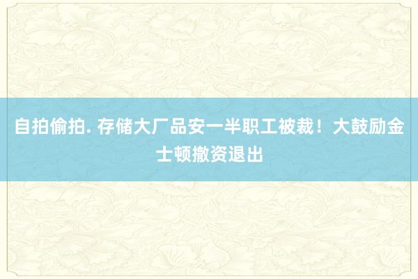 自拍偷拍. 存储大厂品安一半职工被裁！大鼓励金士顿撤资退出