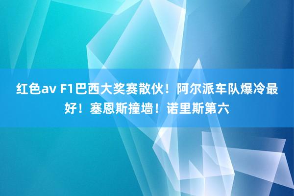 红色av F1巴西大奖赛散伙！阿尔派车队爆冷最好！塞恩斯撞墙！诺里斯第六