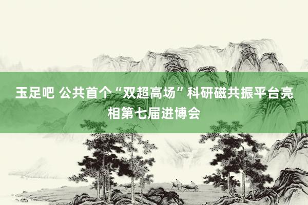 玉足吧 公共首个“双超高场”科研磁共振平台亮相第七届进博会