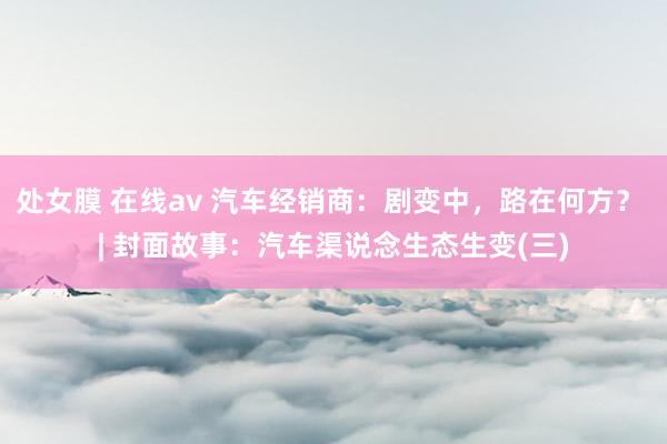 处女膜 在线av 汽车经销商：剧变中，路在何方？ | 封面故事：汽车渠说念生态生变(三)