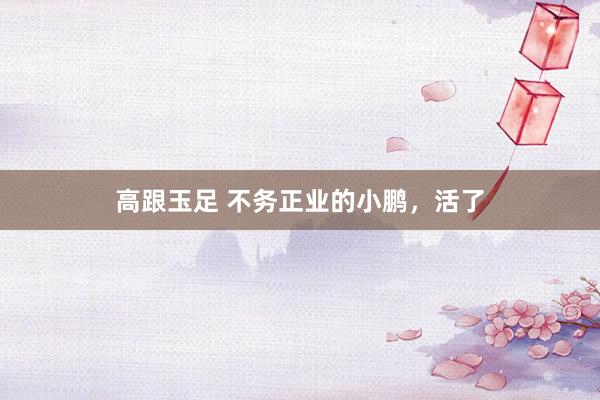 高跟玉足 不务正业的小鹏，活了