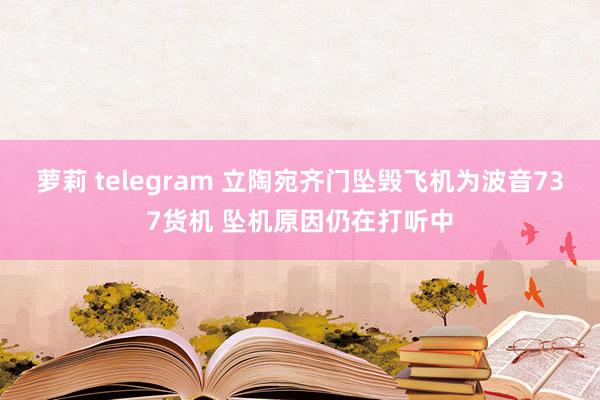 萝莉 telegram 立陶宛齐门坠毁飞机为波音737货机 坠机原因仍在打听中