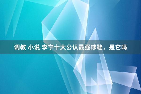 调教 小说 李宁十大公认最强球鞋，是它吗