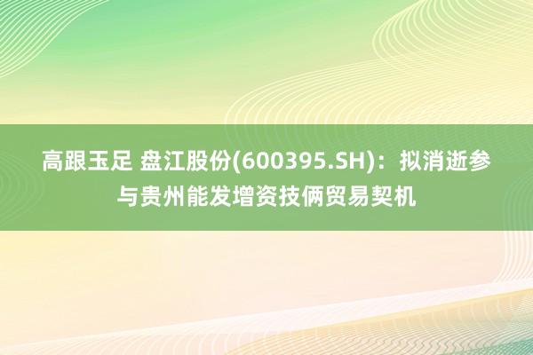 高跟玉足 盘江股份(600395.SH)：拟消逝参与贵州能发增资技俩贸易契机