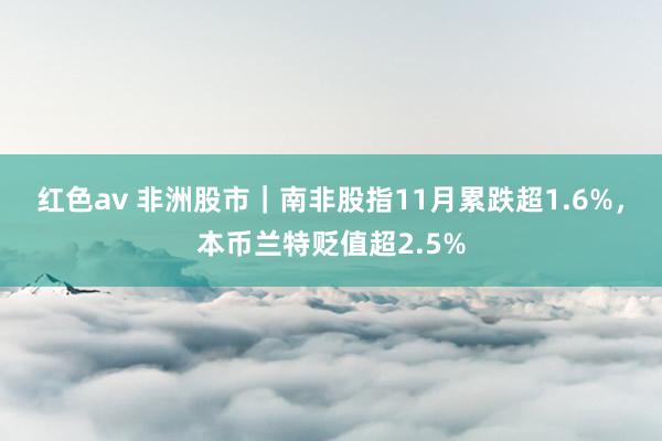 红色av 非洲股市｜南非股指11月累跌超1.6%，本币兰特贬值超2.5%
