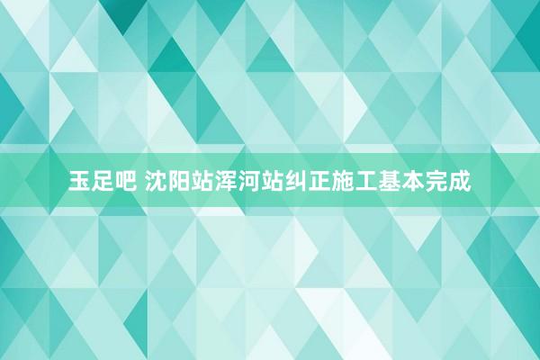 玉足吧 沈阳站浑河站纠正施工基本完成