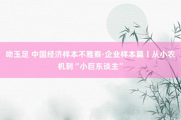 吻玉足 中国经济样本不雅察·企业样本篇丨从小农机到“小巨东谈主”