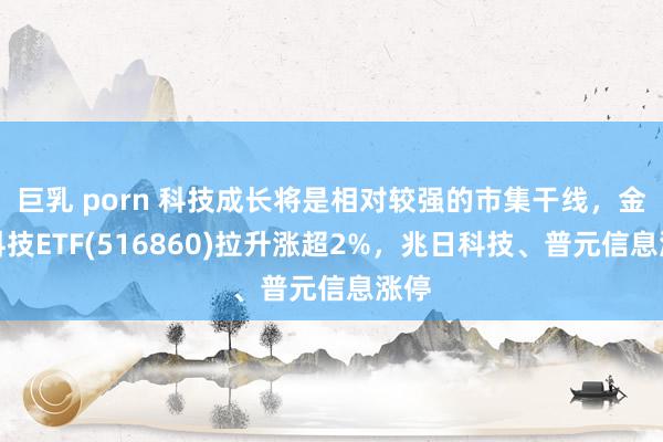 巨乳 porn 科技成长将是相对较强的市集干线，金融科技ETF(516860)拉升涨超2%，兆日科技、普元信息涨停